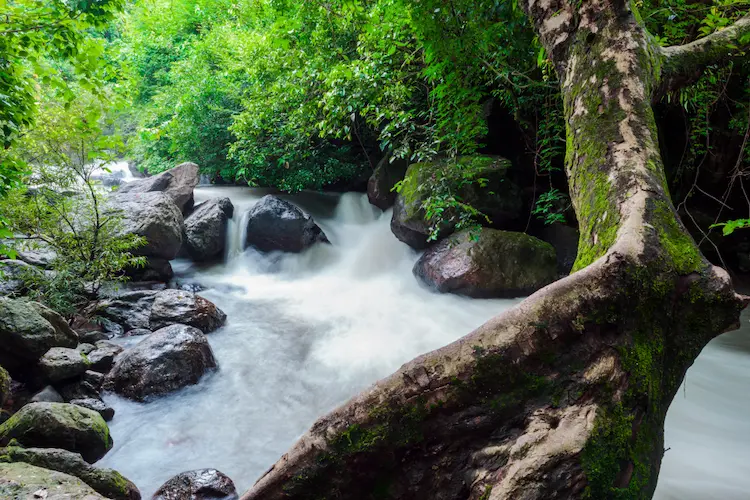 Nakhon Nayok Travel Guide - Nang Rong Waterfall
